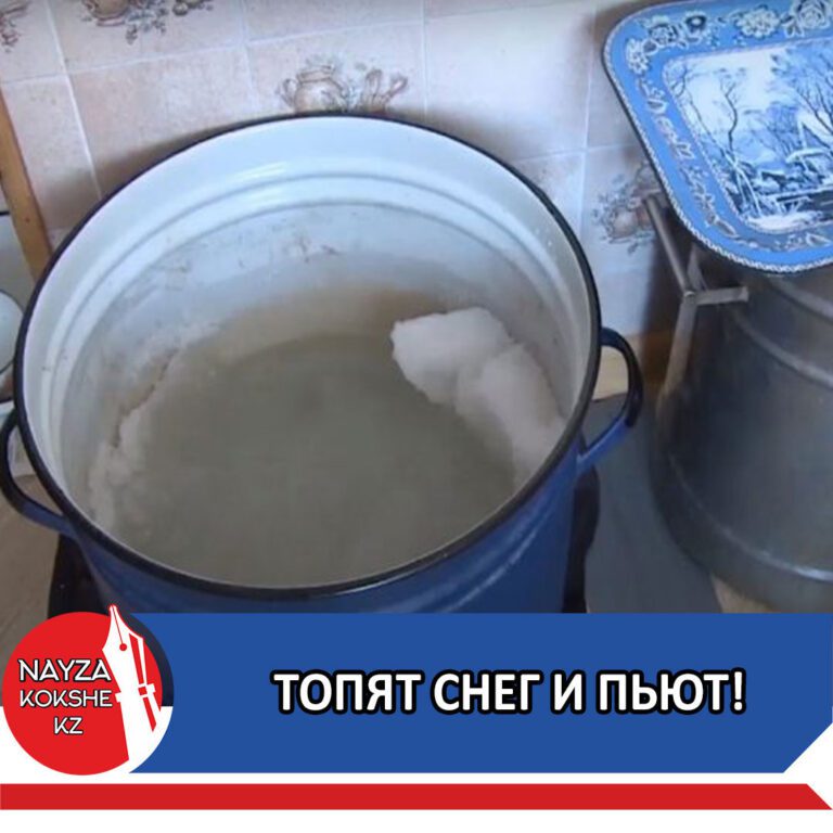 ТОПЯТ СНЕГ И ПЬЮТ!