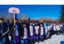 54 «ОСОБЕННЫХ» АКМОЛИНЦА БОРЮТСЯ ЗА МЕДАЛИ В ИНКЛЮЗИВНЫХ ИГРАХ «ЖУЛДЫЗАЙ-2024»