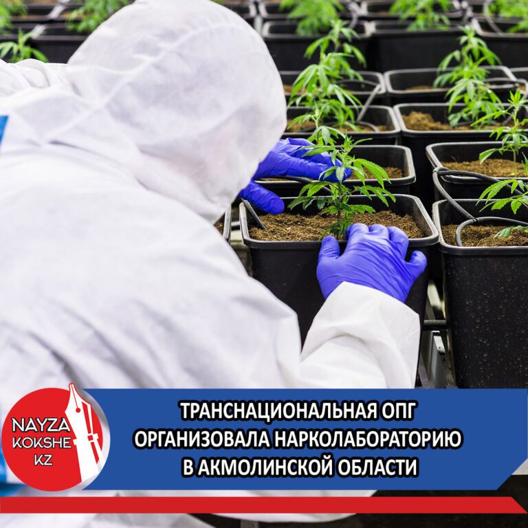 Транснациональная ОПГ в Акмолинской области