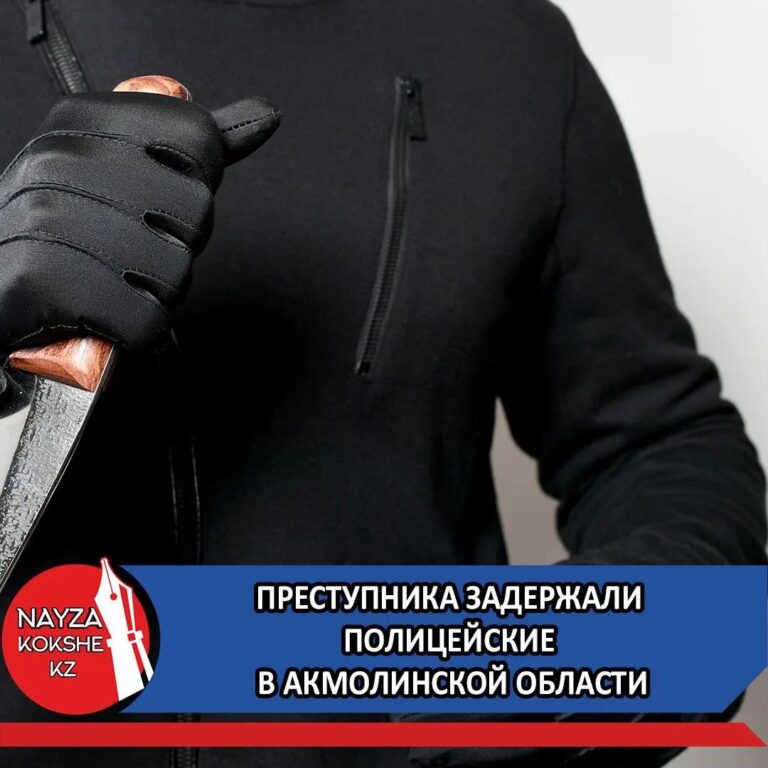 ПРЕСТУПНИКА ЗАДЕРЖАЛИ ПОЛИЦЕЙСКИЕ В АКМОЛИНСКОЙ ОБЛАСТИ