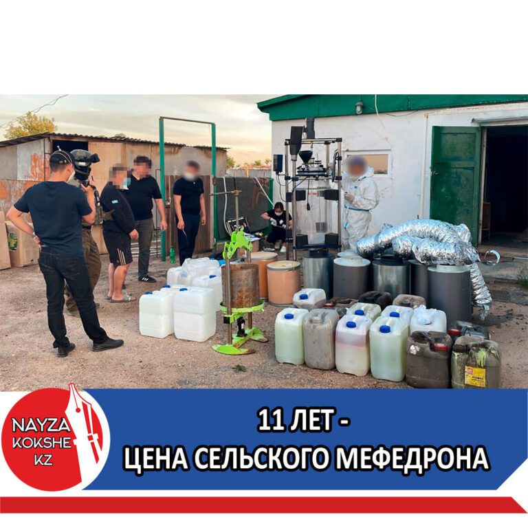 11 ЛЕТ — ЦЕНА СЕЛЬСКОГО МЕФЕДРОНА