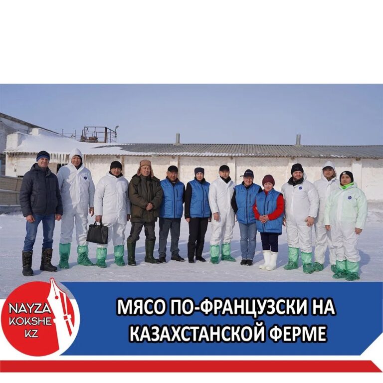 МЯСО ПО-ФРАНЦУЗСКИ НА КАЗАХСТАНСКОЙ ФЕРМЕ