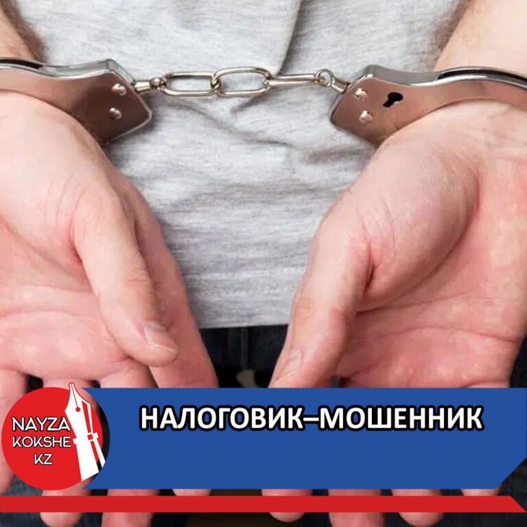 НАЛОГОВИК–МОШЕННИК