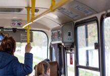 ПОЕХАЛИ…БЕСПЛАТНО!