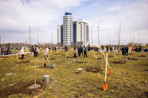 Наурыз символизирует начало новой жизни: 2500 деревьев высадили в Жетысу