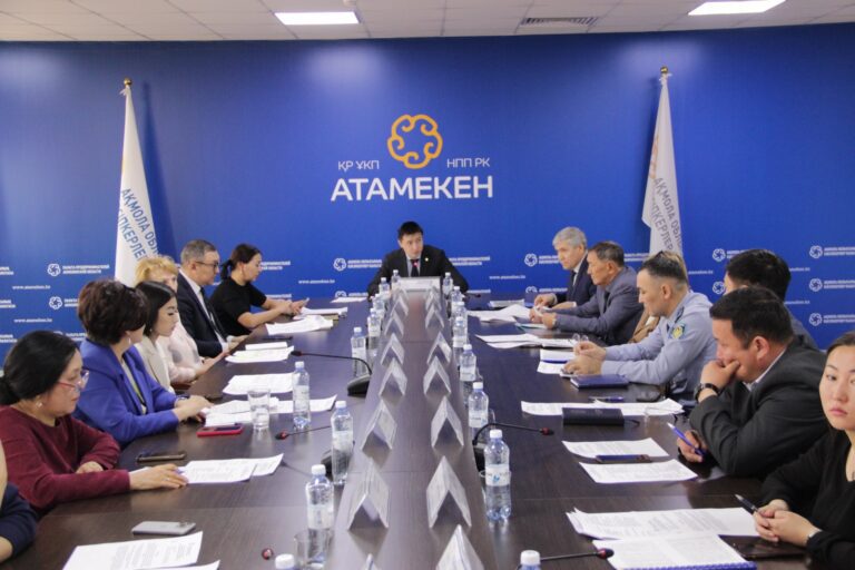 Владельцы частных дошкольных организаций Акмолинской области озвучили проблемные вопросы