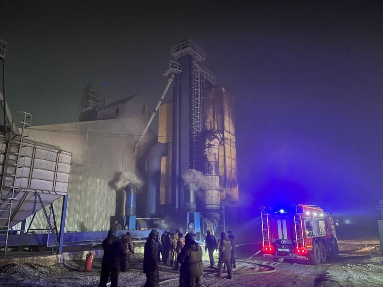 В Астраханском районе сгорели 20 тонн семян подсолнечника