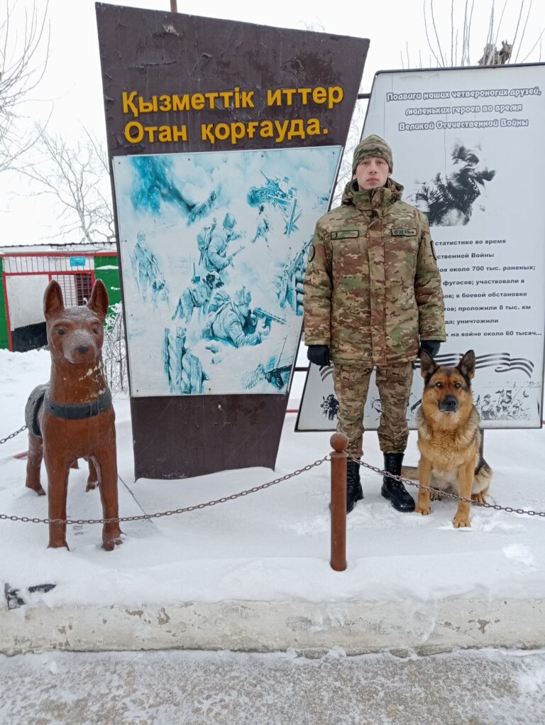 Степногорский гвардеец со служебной собакой выявил нарколабораторию