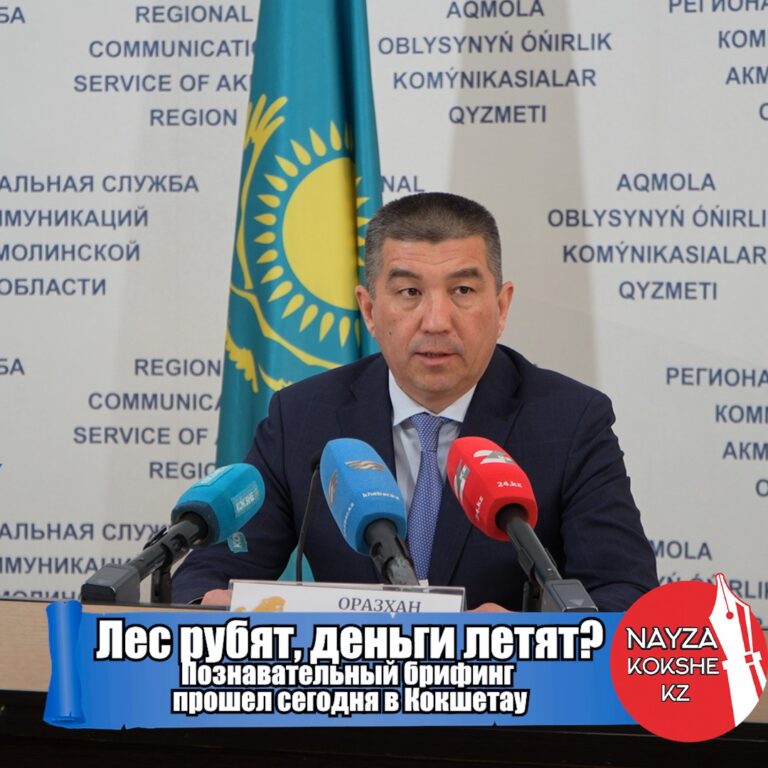 Лес рубят, деньги летят?Познавательный брифинг прошел сегодня в Кокшетау.