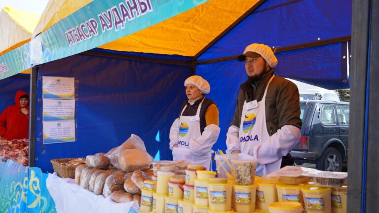 В Кокшетау прошла сельхозярмарка: более 100 тонн продукции по сниженным ценам